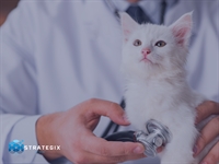 premier profitable scalable veterinary - 1